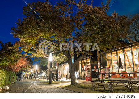 金シャチ横丁 宗春ゾーン 秋 夜景 金シャチ横丁 宗春ゾーン 秋 夜景 73714098