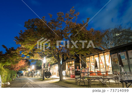 金シャチ横丁　宗春ゾーン  秋　夜景 73714099