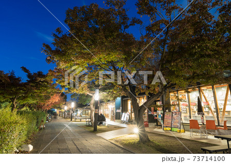 金シャチ横丁 宗春ゾーン 秋 夜景 金シャチ横丁 宗春ゾーン 秋 夜景 73714100