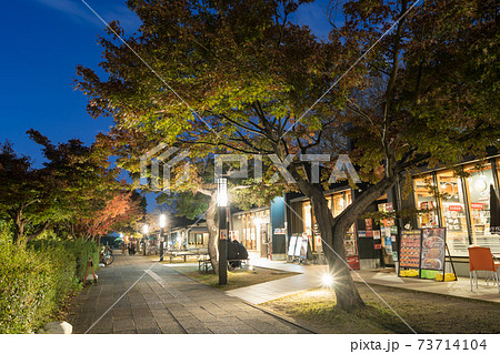 金シャチ横丁　宗春ゾーン  秋　夜景 73714104