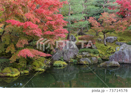 晩秋の和風庭園 池のある広い庭の写真素材