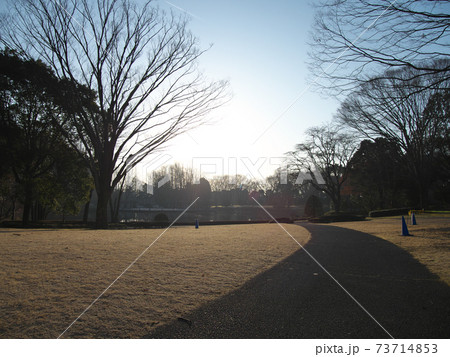 栃木県中央公園 昭和大池 早朝 栃木県中央公園 昭和大池 早朝 73714853