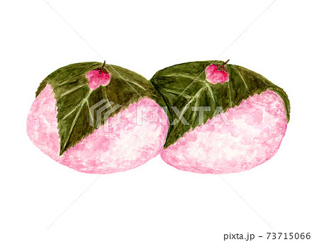 道明寺桜餅の水彩イラストのイラスト素材