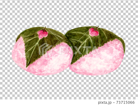 道明寺桜餅の水彩イラストのイラスト素材 道明寺桜餅の水彩イラストのイラスト素材