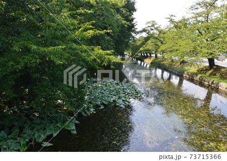 弘前城の外堀（弘前公園／青森県弘前市） 73715366