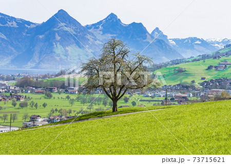 View of the town of Stans in Switzerland from the foot of Mt. Stanserhorn at the beginning of May. The town of Stans is the capital of the Swiss canton of Nidwalden. View of the town of Stans in Switzerland from the foot of Mt. Stanserhorn at the beginning of May. The town of Stans is the capital of the Swiss canton of Nidwalden. 73715621