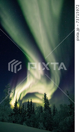 オーロラ、AURORA オーロラ、AURORA 73715972