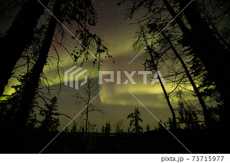 オーロラ、AURORA オーロラ、AURORA 73715977