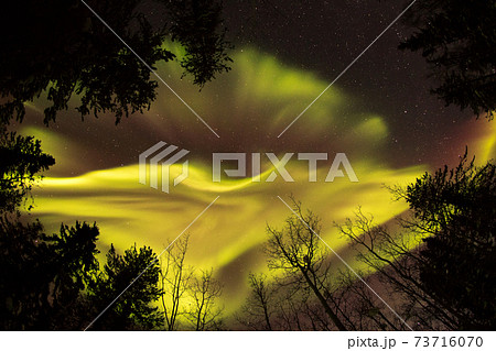 オーロラ、AURORA 73716070