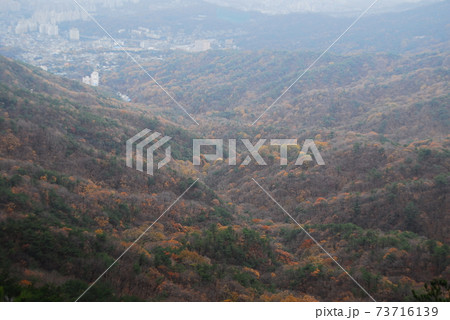 山 風景 森林 73716139