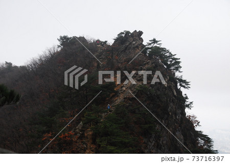 霧 秋 山 73716397