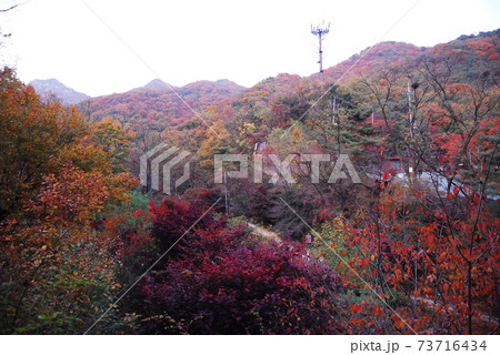 秋 山 紅葉 73716434