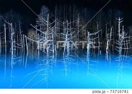 雪の降る冬にライトアップされる幻想的で美しい青い池 雪の降る冬にライトアップされる幻想的で美しい青い池 73716781