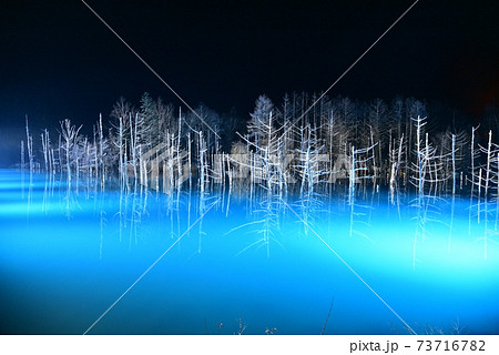 雪の降る冬にライトアップされる幻想的で美しい青い池 雪の降る冬にライトアップされる幻想的で美しい青い池 73716782