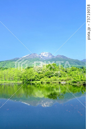 新緑のいもり池と妙高山 73719058