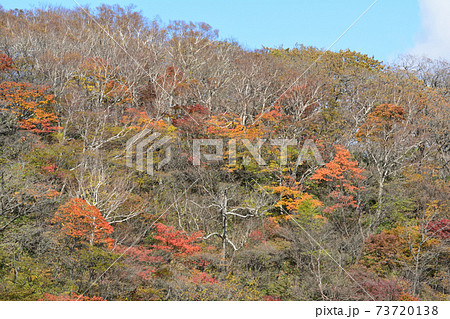 那須平成の森・駒止の滝 #48 那須平成の森・駒止の滝 #48 73720138
