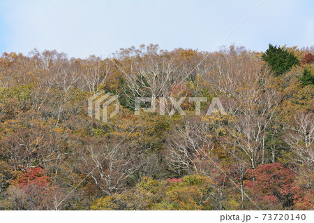 那須平成の森・駒止の滝 #46 那須平成の森・駒止の滝 #46 73720140