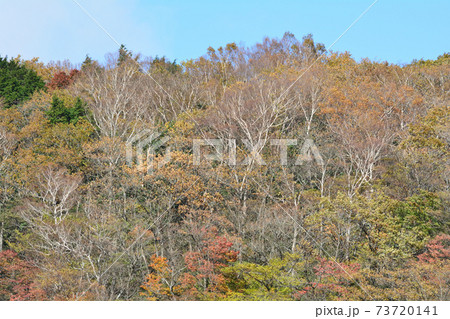 那須平成の森・駒止の滝 #45 那須平成の森・駒止の滝 #45 73720141