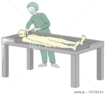 エンバーミングの「縫合」工程で縫合を施す人 エンバーミングの「縫合」工程で縫合を施す人 73720214