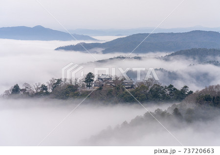 (岡山県)高梁市備中松山城展望台からの雲海 (岡山県)高梁市備中松山城展望台からの雲海 73720663