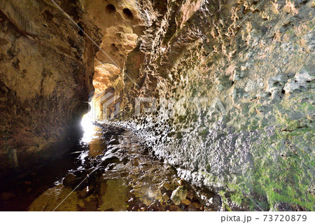 伊尾木洞　あなごう　海蝕洞　異世界　迷宮　高知県安芸市伊尾木　 73720879