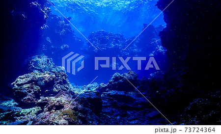 ダイビング ダイビング 73724364