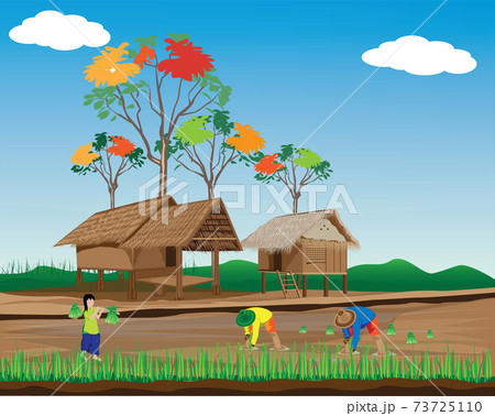 farmer work in paddy field vector design 73725110