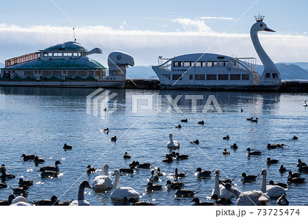 福島県猪苗代湖長浜 白鳥や鴨が泳ぎ 遊覧船が佇む風景の写真素材