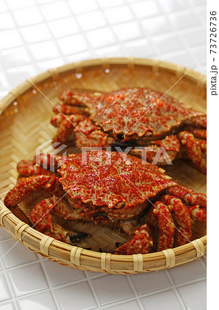 茹でクリガニ 茹でクリガニ 73726736