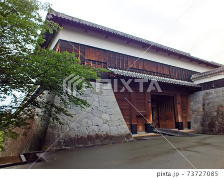 2014年の熊本城 73727085