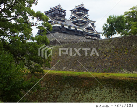 2014年の熊本城 73727103