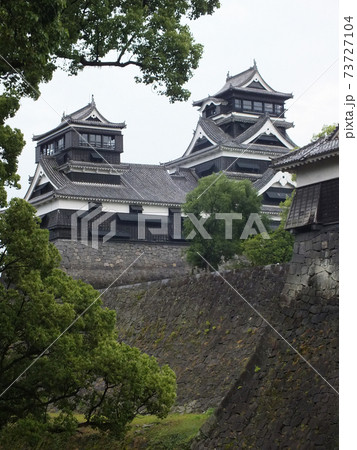 2014年の熊本城 73727104