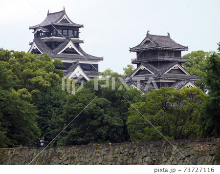 2014年の熊本城 2014年の熊本城 73727116