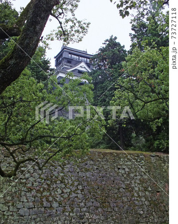 2014年の熊本城 73727118