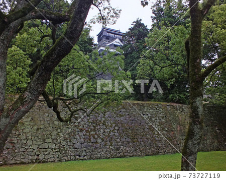2014年の熊本城 2014年の熊本城 73727119