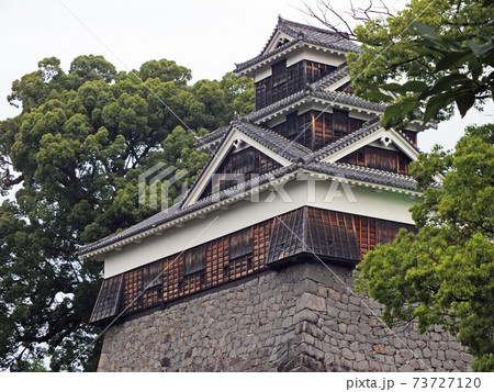 2014年の熊本城 2014年の熊本城 73727120
