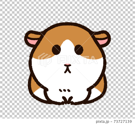 かわいいモルモット　茶白 73727139