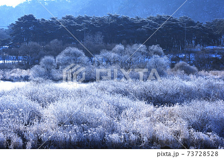 風景 雪景色 積雪 73728528