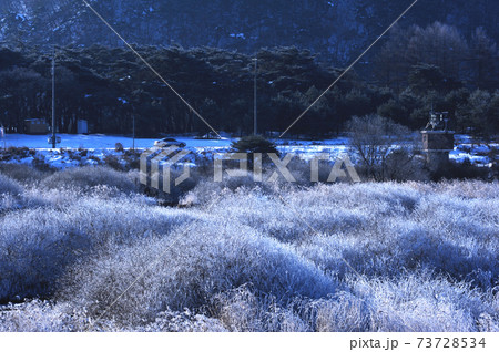 風景 雪景色 積雪 73728534