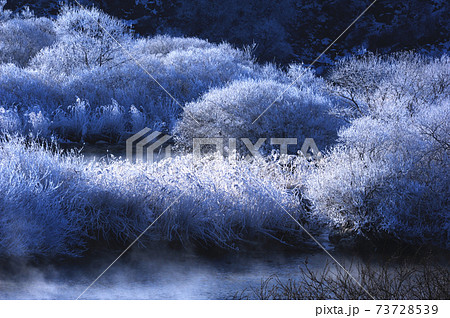 風景 雪景色 積雪 73728539