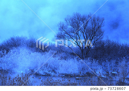 雪景色 積雪 木 73728607