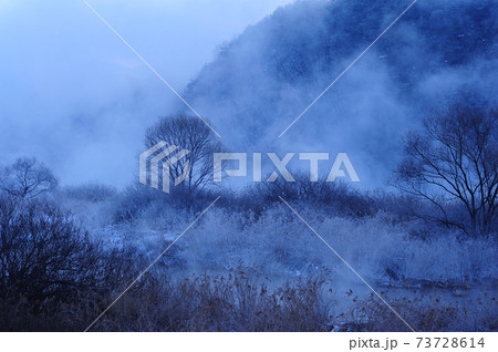 スポット 雪景色 積雪 73728614