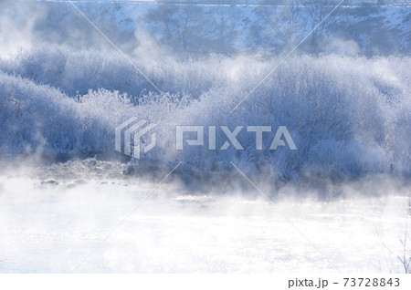 冬 雪景色 背景 73728843