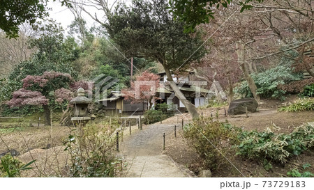 神奈川県横浜市の観光名所の名園三渓園の冬 神奈川県横浜市の観光名所の名園三渓園の冬 73729183