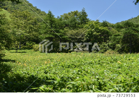 霧降高原 73729553
