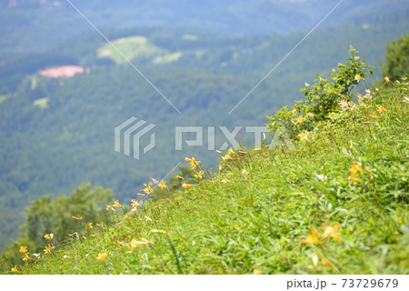 霧降高原 73729679