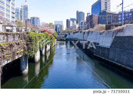 神田川のお茶の水分水路呑口(背景は東京都立工芸高等学校) 神田川のお茶の水分水路呑口(背景は東京都立工芸高等学校) 73730033