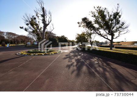 吉田公園210116am8:45 73730044