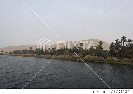 ナイル川の風景・クルーズ船から見た密林と丘陵地(in Egypt) ナイル川の風景・クルーズ船から見た密林と丘陵地(in Egypt) 73731184