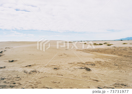 Lonely dunes in the Ebro delta, Tarragona, Spain. 73731977